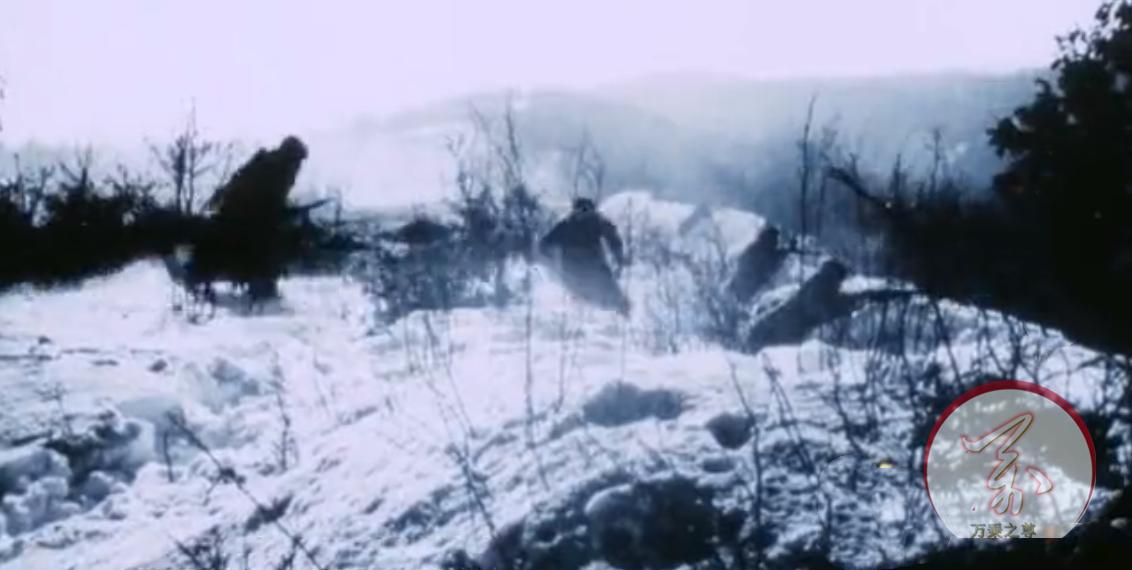 长津湖战役中美兵力对比,长津湖之战歼灭美军多少人