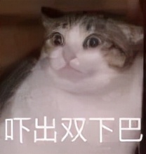 龟龟长大了,我滴个龟龟是什么意思