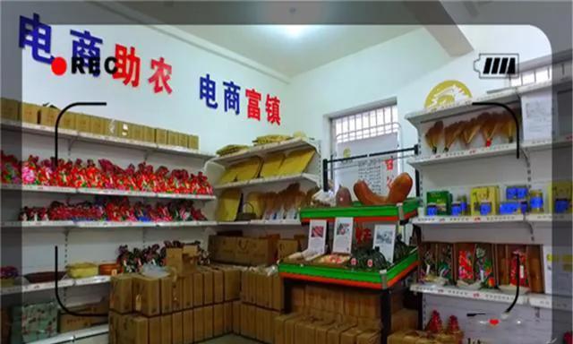 创业致富项目农村种什么赚钱,农村最赚钱的种植创业项目有哪些