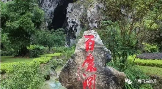巴马的百魔洞简介,广西巴马百魔洞中医食疗馆