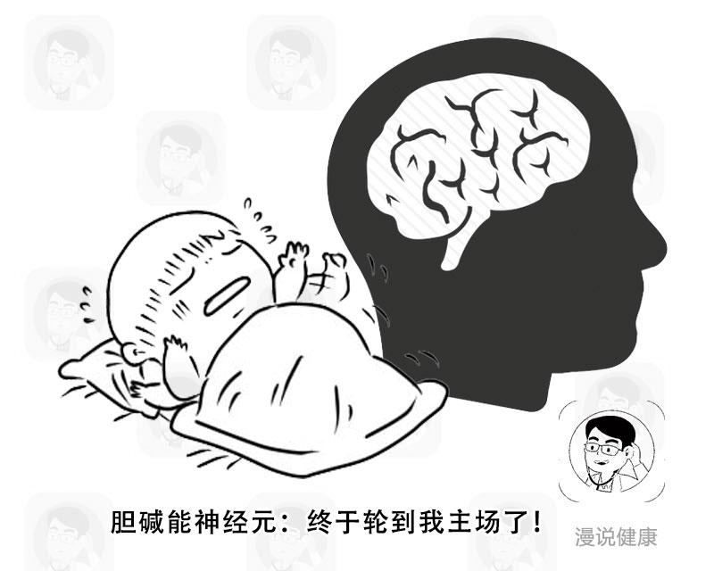 经常做梦睡不好,总是做梦睡不好怎么办中医