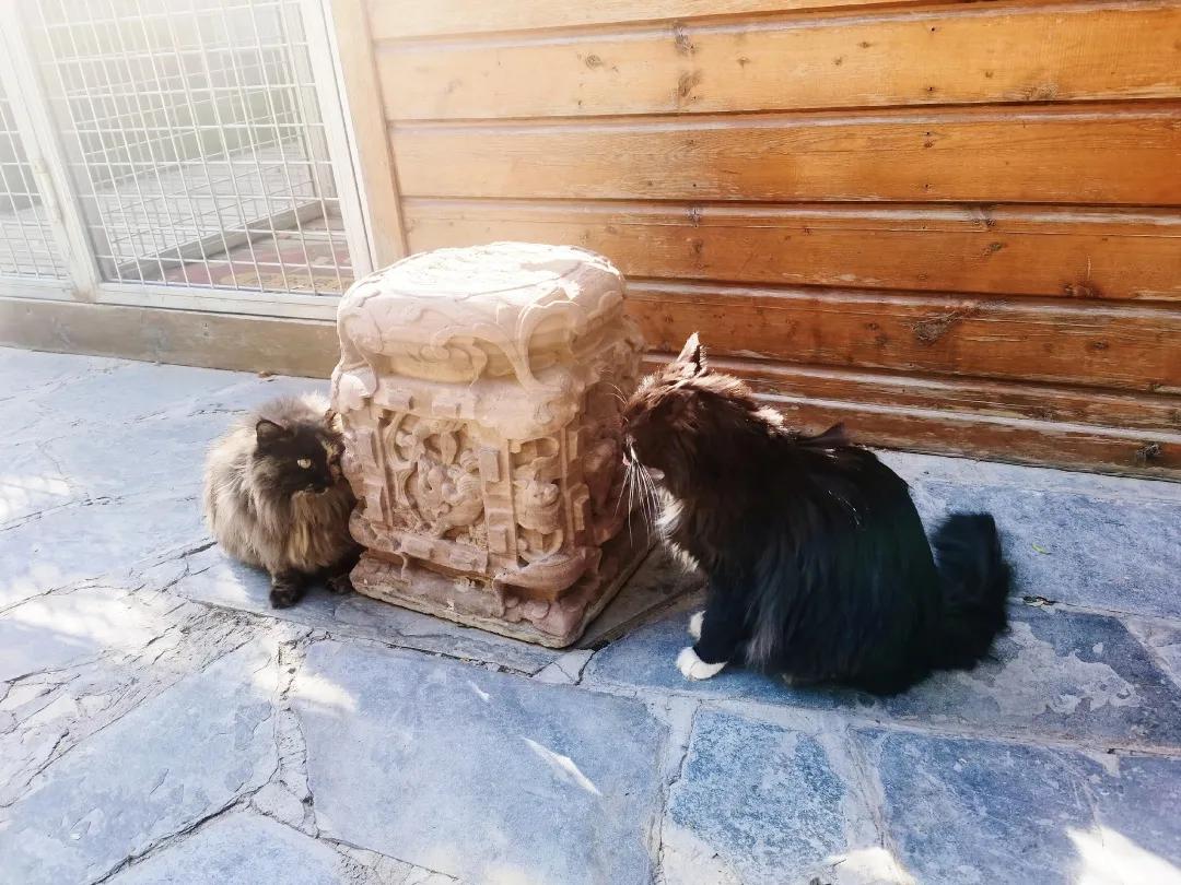 拼头条吗？好姐妹就要一起上啊