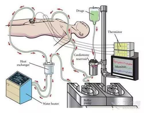 肿瘤热疗能杀死癌细胞吗,人体温度43度以上可以杀死癌细胞