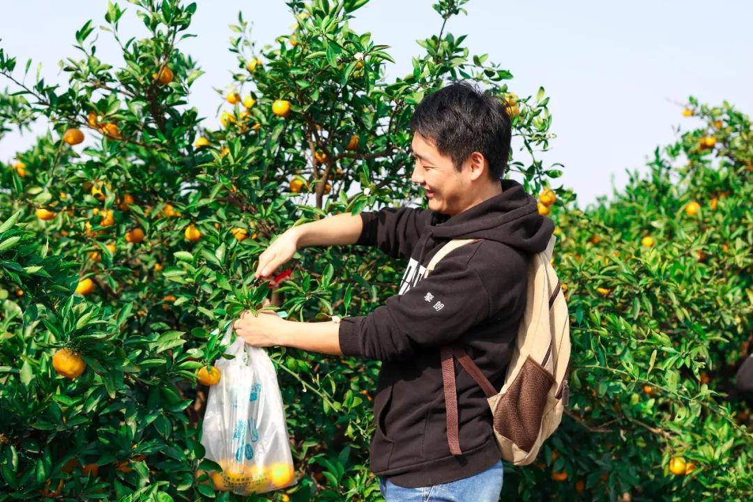 凝心聚力共创辉煌团建总结,凝心聚力激扬青春主题团建活动