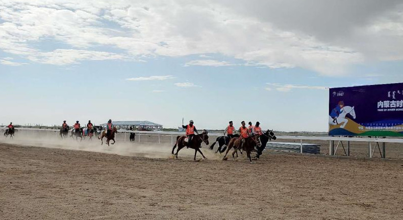 内蒙古马术节完整版,第六届内蒙古国际马术节开赛