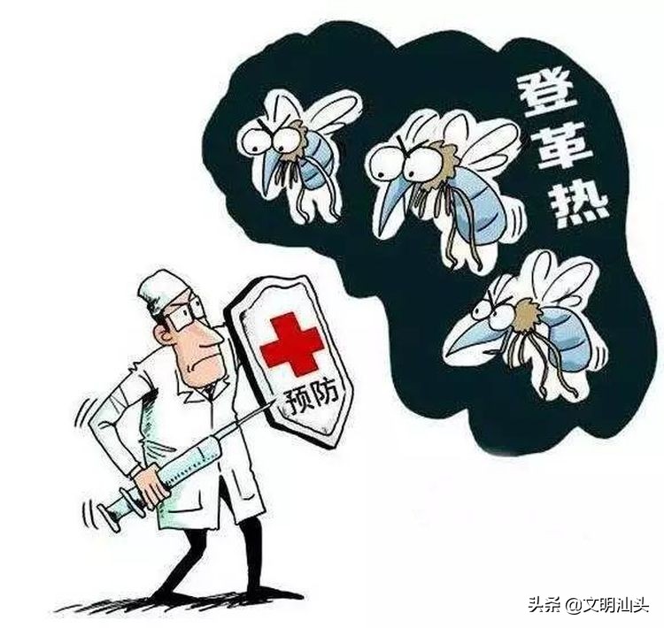 2020年登革热温馨提示,外出旅游如何预防登革热