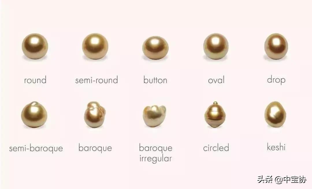 挑选珍珠饰品的小技巧是什么,挑选珍珠蚌秘籍