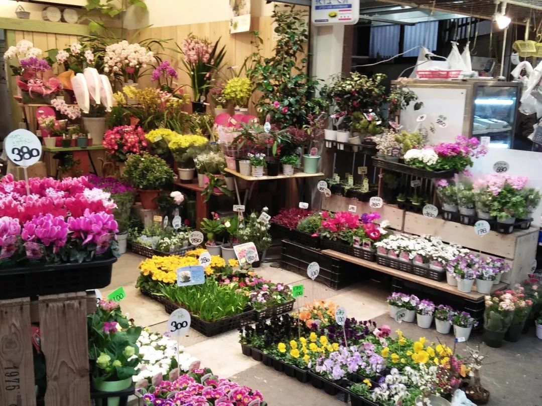 日本仙女花店游学攻略,日本花店之旅