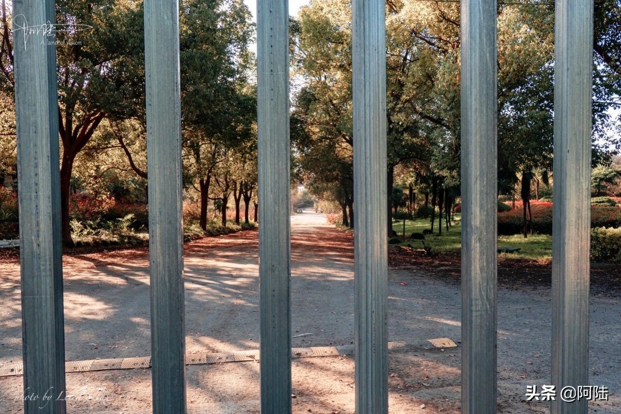 杭钢搬迁到哪里去了,杭钢现在在哪里