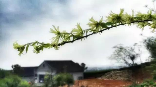 宁波周末带娃玩的好去处,宁波旅游度假山庄