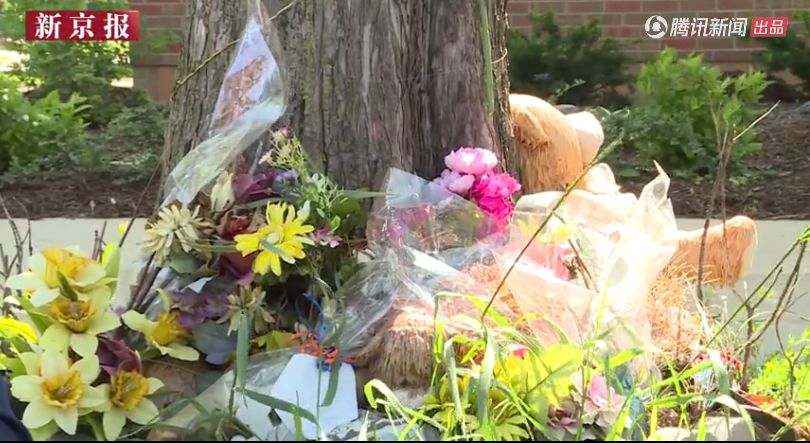 章莹颖遇害案全过程,章莹颖遇害案细节曝光