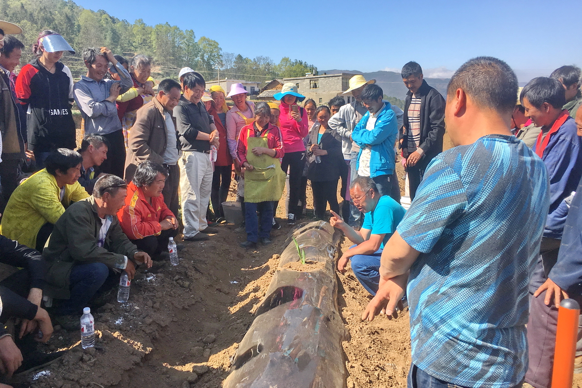 彝良县奎香科技园区重楼种植基地,彝良奎香最新规划