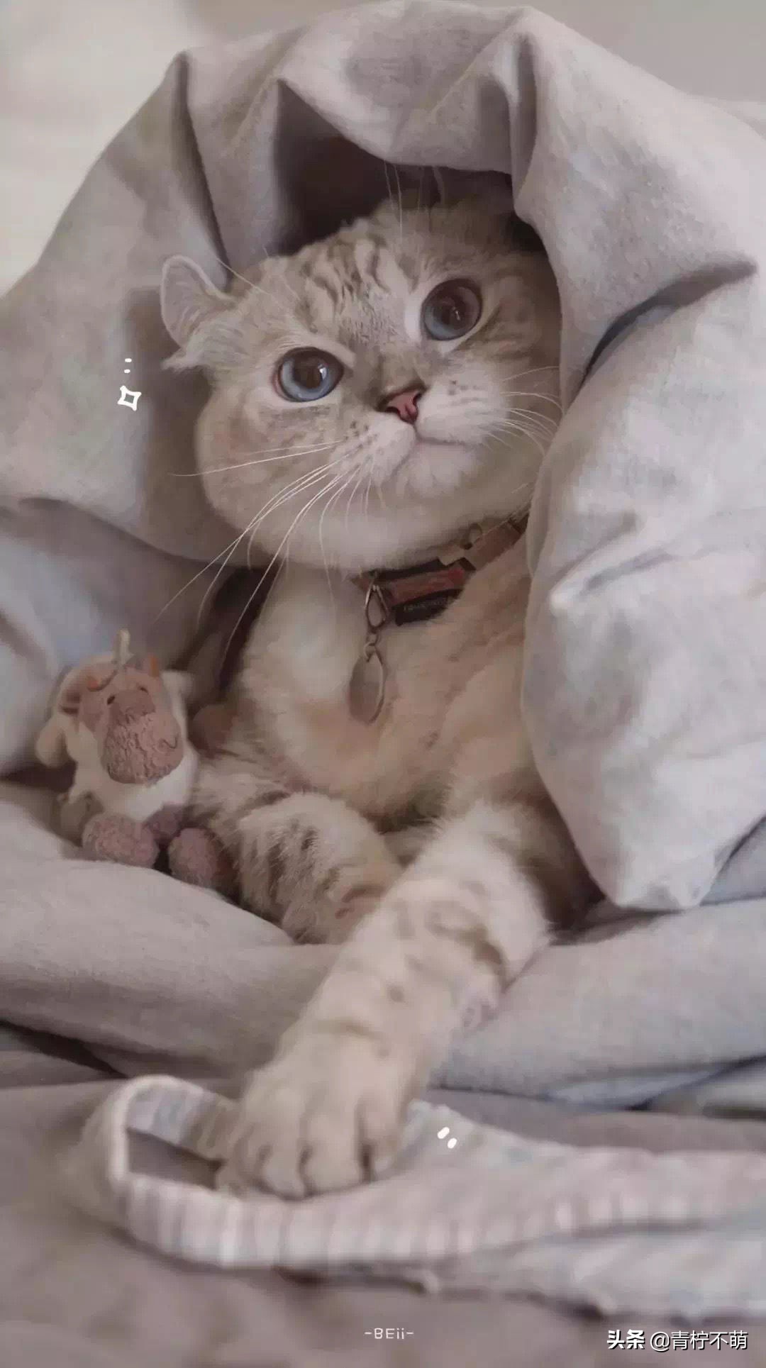 苹果13原装高清壁纸4k全屏无水印,4k超清壁纸1080p无水印全屏苹果