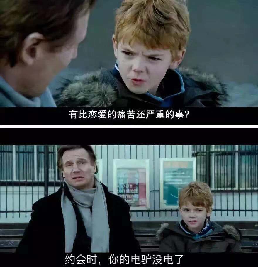 薛定谔的猫实测,欧拉白猫小野猫试驾