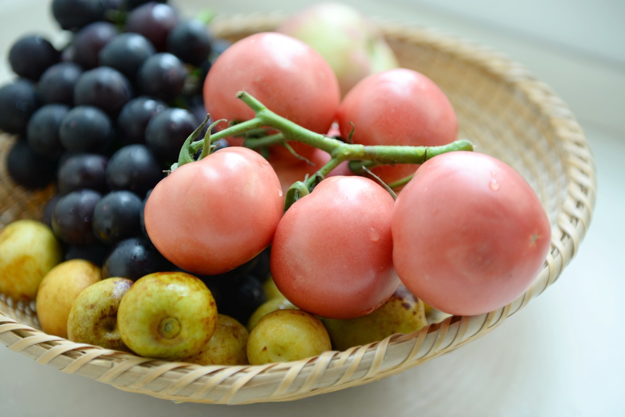 壹健康保健品怎样,如何正确食用新鲜人参