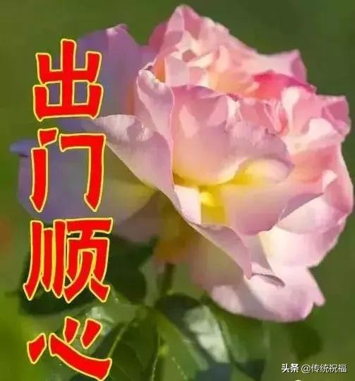 女人节祝福语送给你,最美丽的女人节祝福