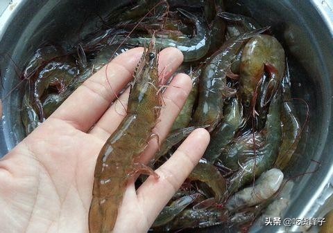 冷冻虾解冻后和鲜虾的区别,鲜虾直接放冰箱冻起来