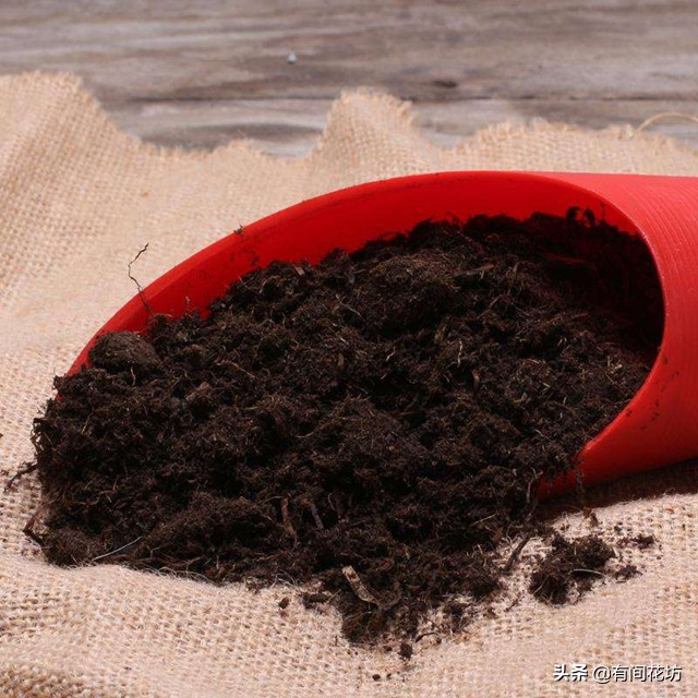 养花土营养怎么补,养花土不硬的妙方