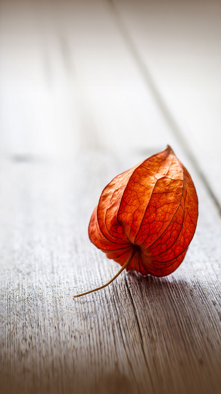 如何设定止损价自动卖出股票,止损和获利如何设置