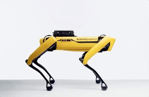53万一只，波士顿动力机器狗也赶618开卖？淘宝百万代购已上线