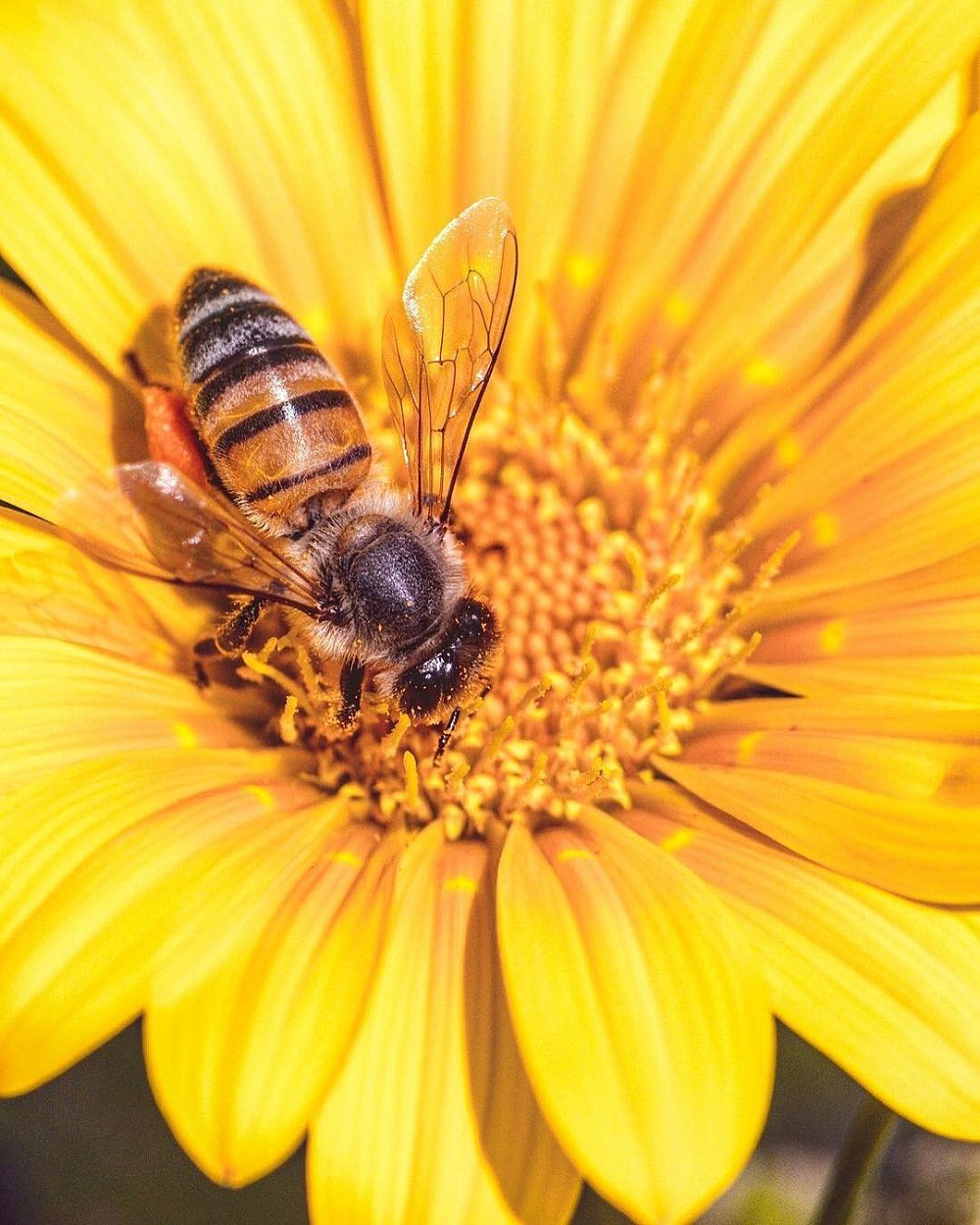 微距拍摄需要的器材,小成本视频摄影