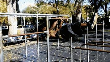 健身要请私教,健身要不要请教练教动作