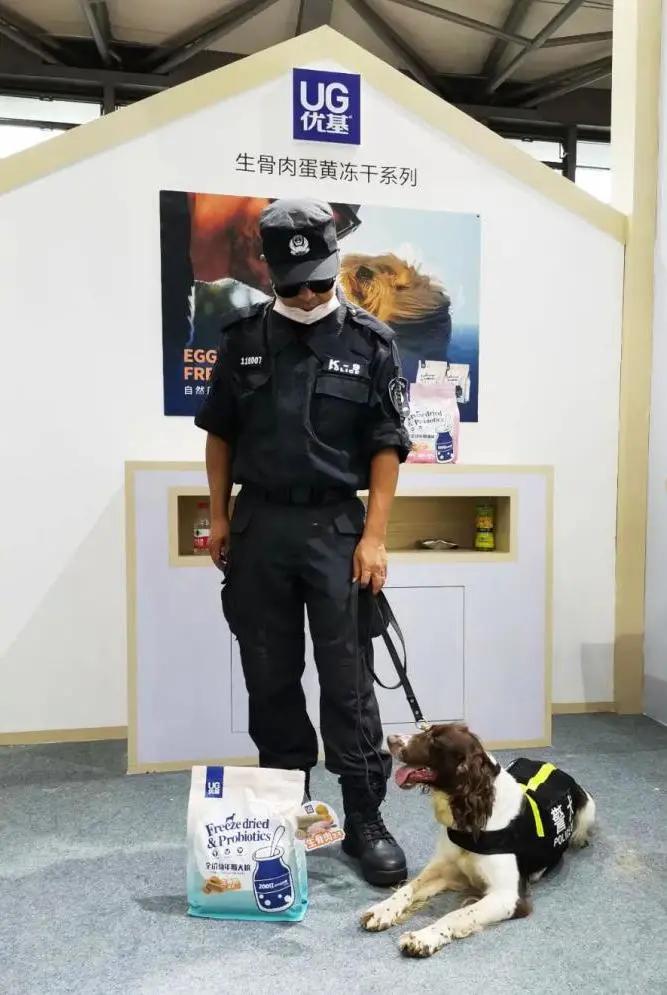 不办狗证狗被抓,不办狗证的狗被抓走会怎样