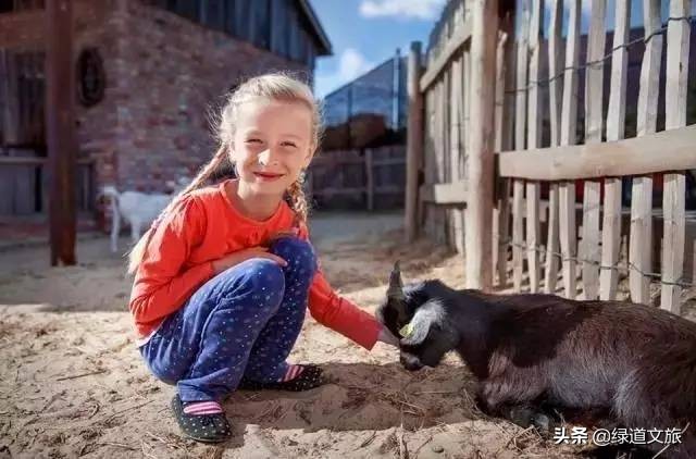 儿童农庄,生态农庄主题乐园