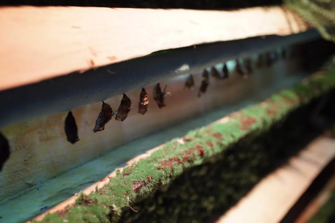 占地30000㎡！这艘建在安华汇天台上的巨船，竟是亲子乐园