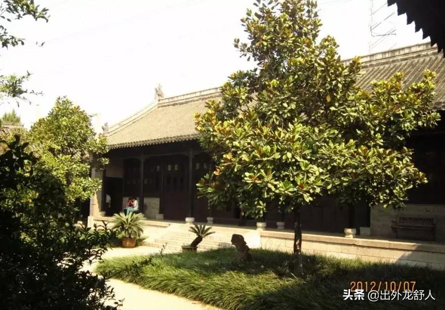 广玉兰是哪个城市的市花,广玉兰是常州市树还是市花