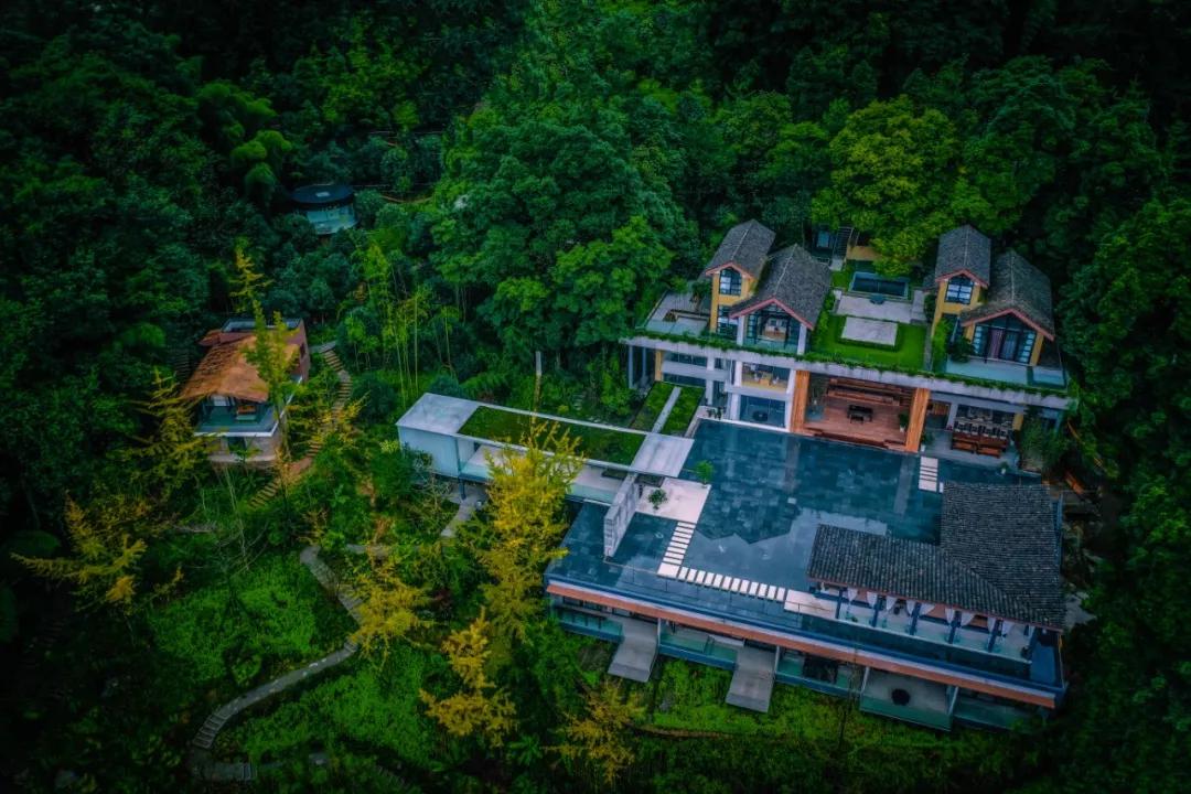 去了青城山才知道的宝藏民宿,青城山避暑农家小院