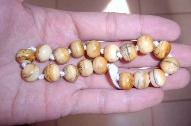 这10种文玩都是违禁品最好别碰,国家明令禁止的文玩有了会如何