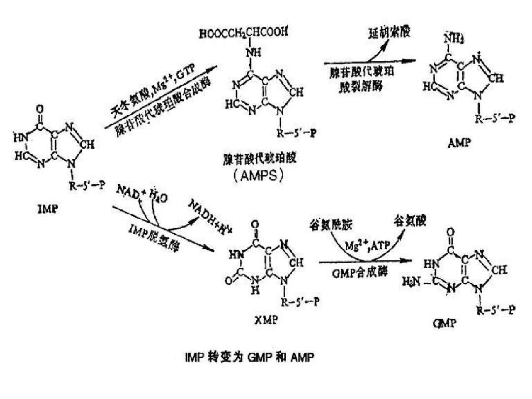 怎样知道痛风尿酸偏高,怎样知道有痛风结晶