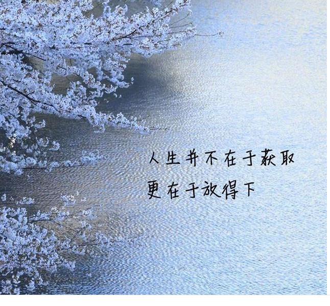 手机上丢失的照片如何找回,手机遗失图片大全