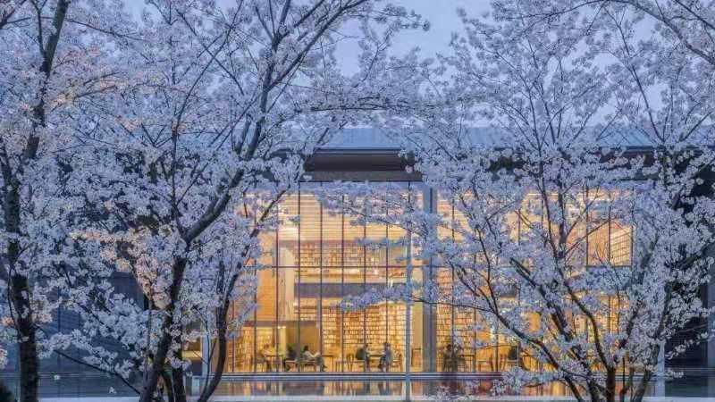 美爆了的画质,美爆了完整视频