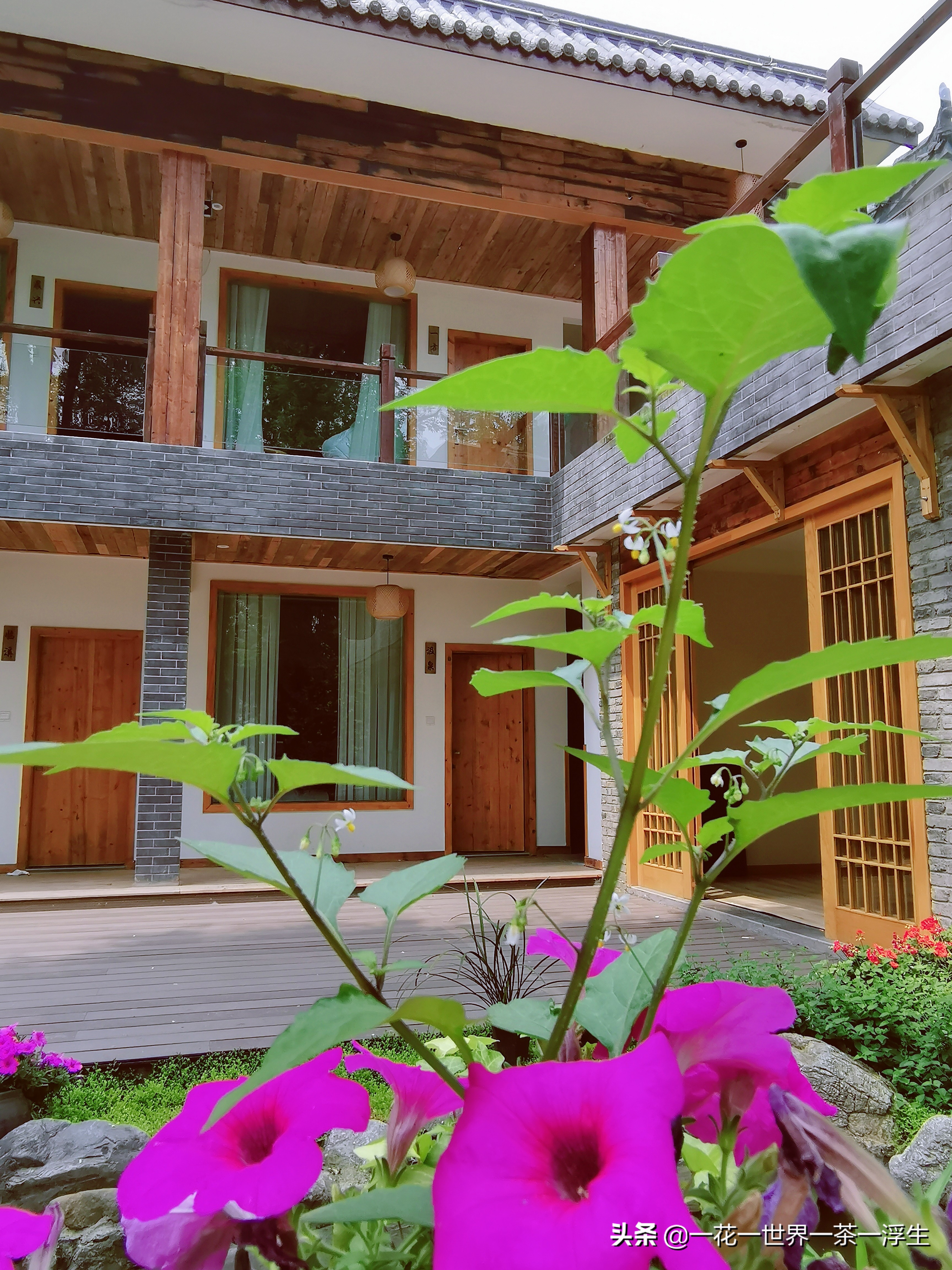 寻找巴适的成都小院(2)