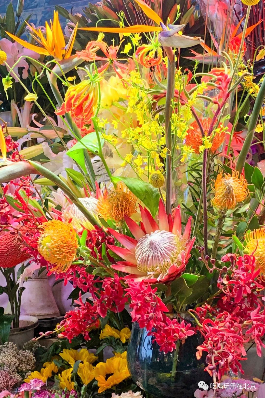 北京花市攻略大全,北京最美赏花景点