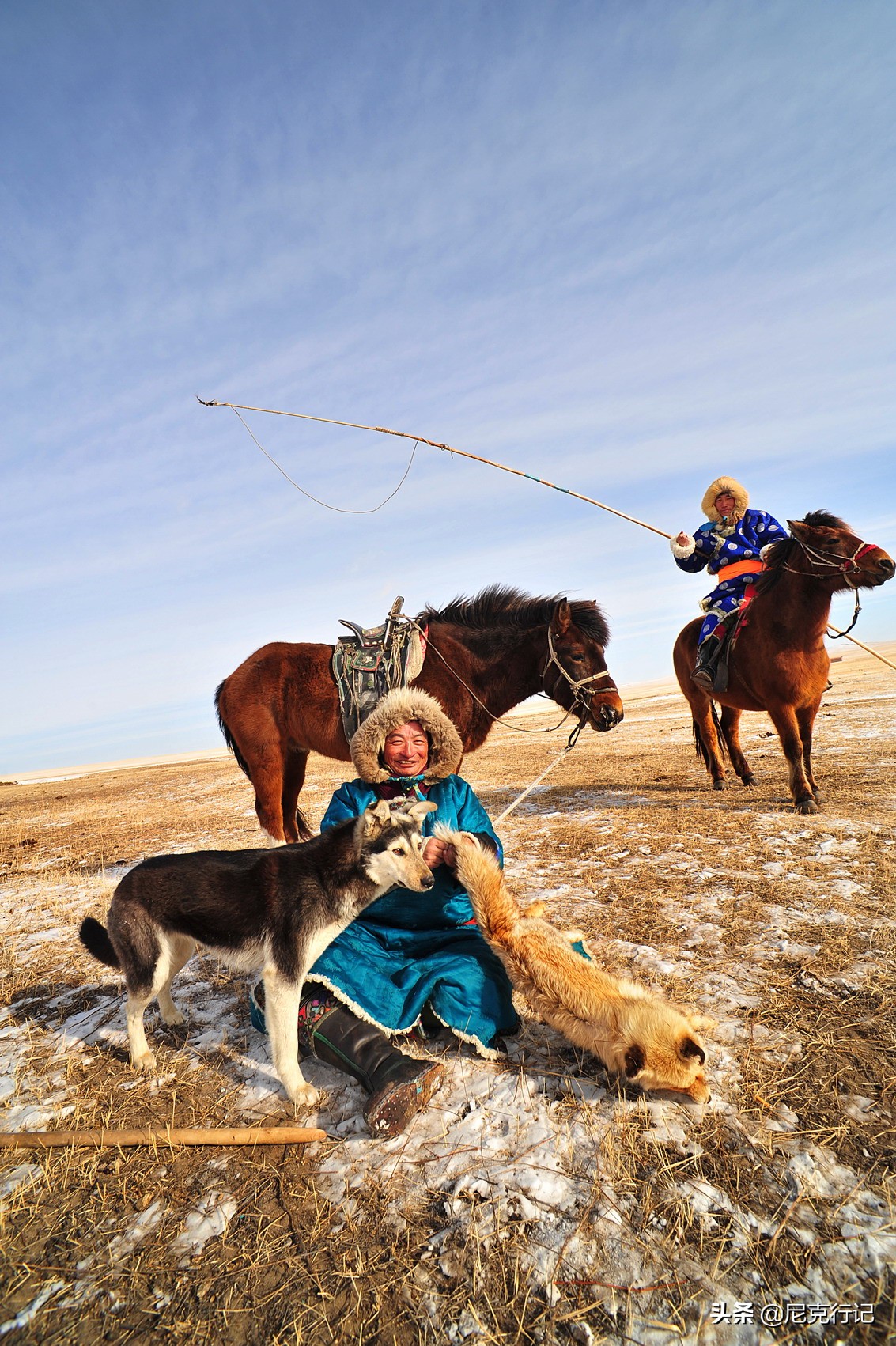 -30℃草原生活:羊群抱团取暖,马背全是冰,牧民坚守自然规律