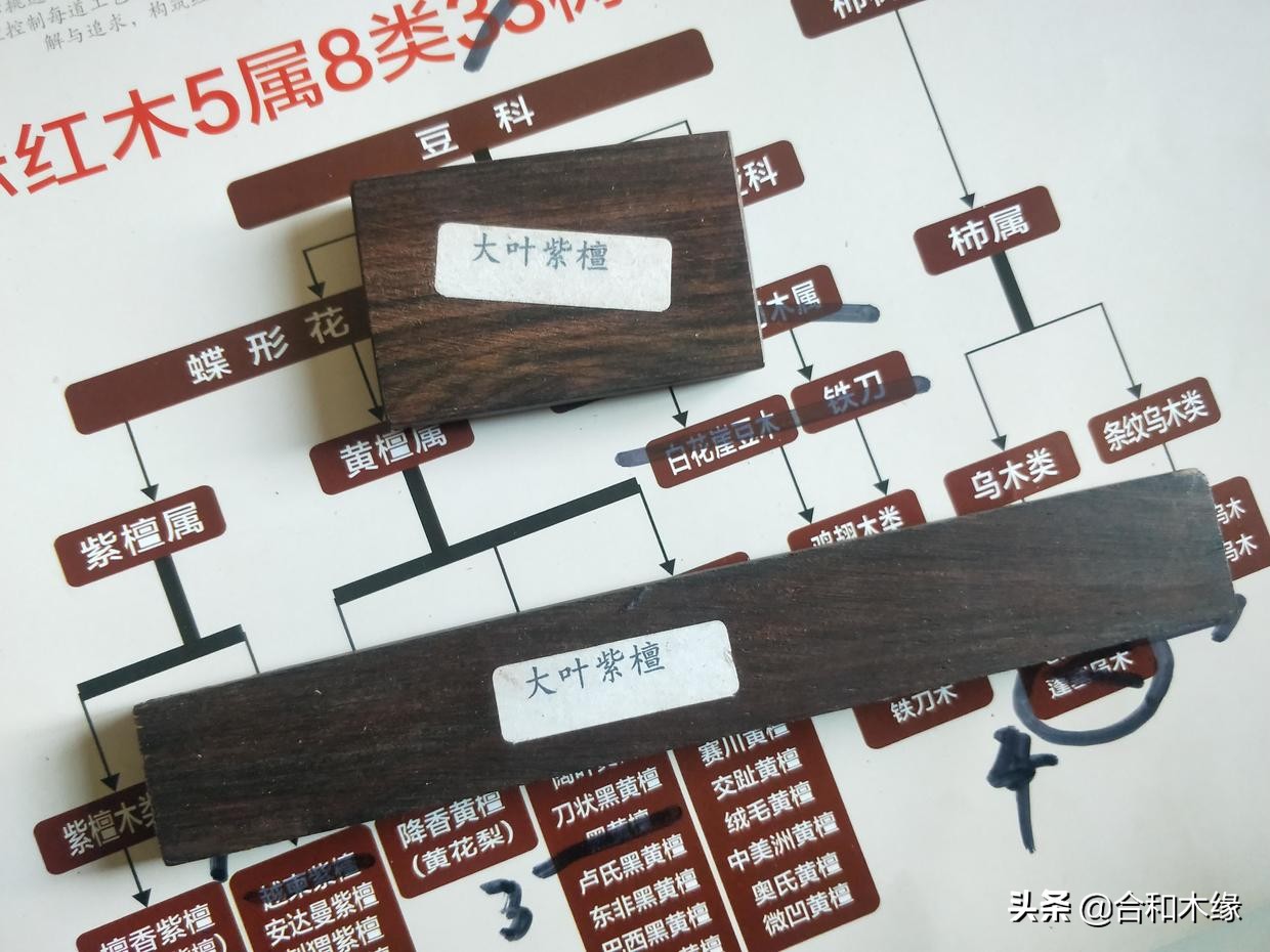 所罗门大叶紫檀和卢氏黑黄檀,黑檀与大叶紫檀哪个更好