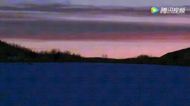 明星投毒吓人事件,深夜放毒招人恨的视频