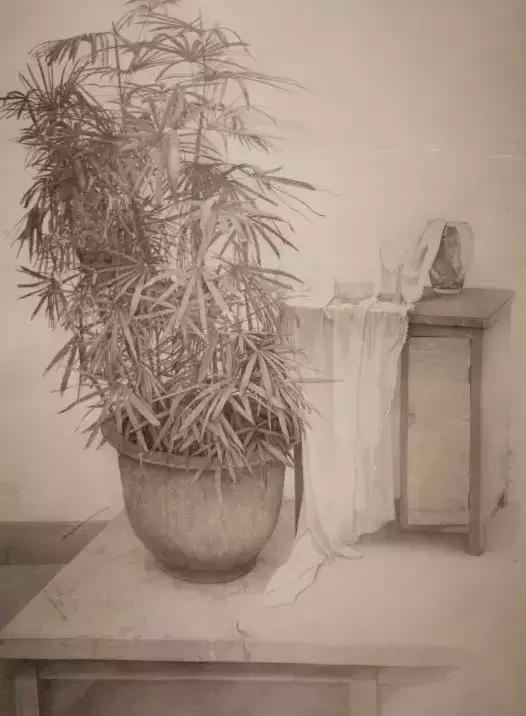 全国素描比赛第一名,九大美院素描欣赏