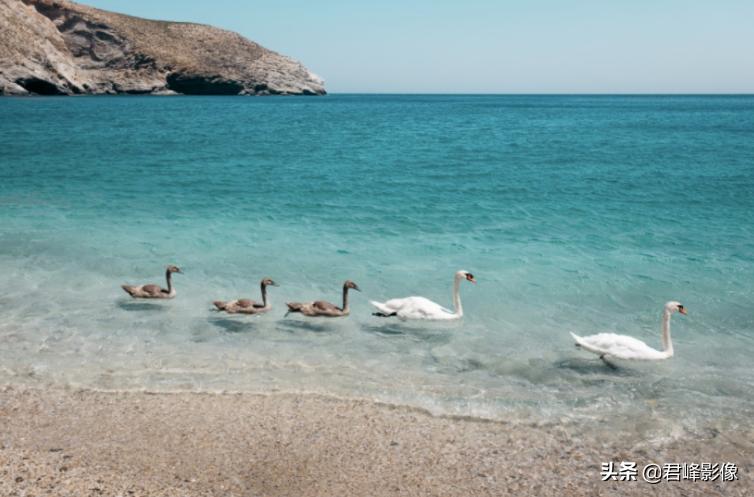 徕卡sl相机视频,徕卡sl最新款