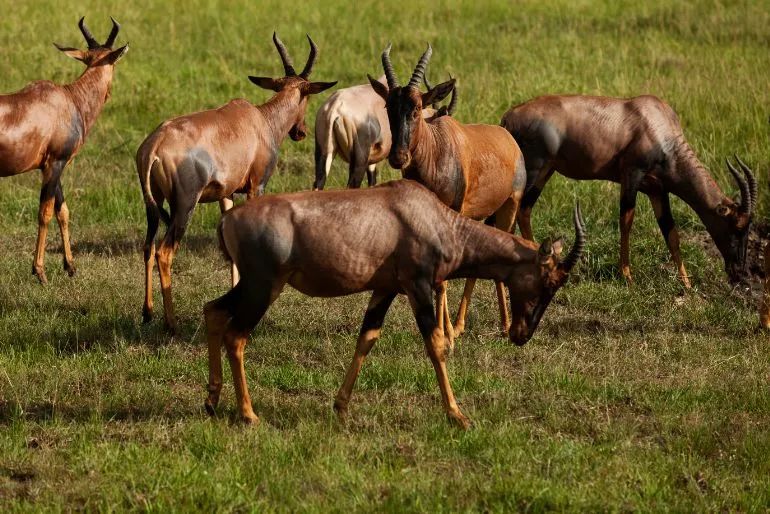 小众蜜月度假地点推荐,小众度蜜月旅游胜地