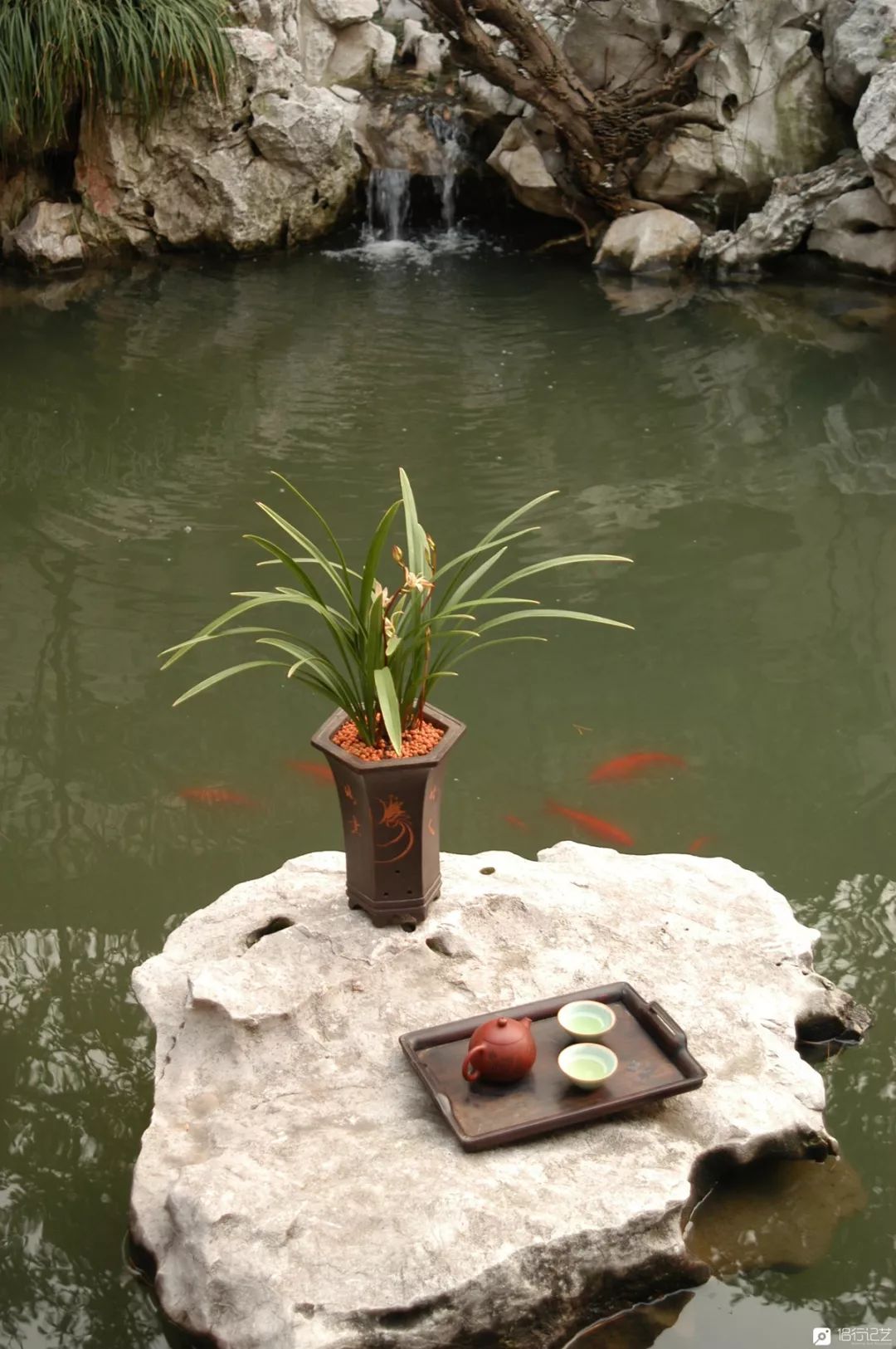 大叔花700万建的花园别墅,太湖石苏州