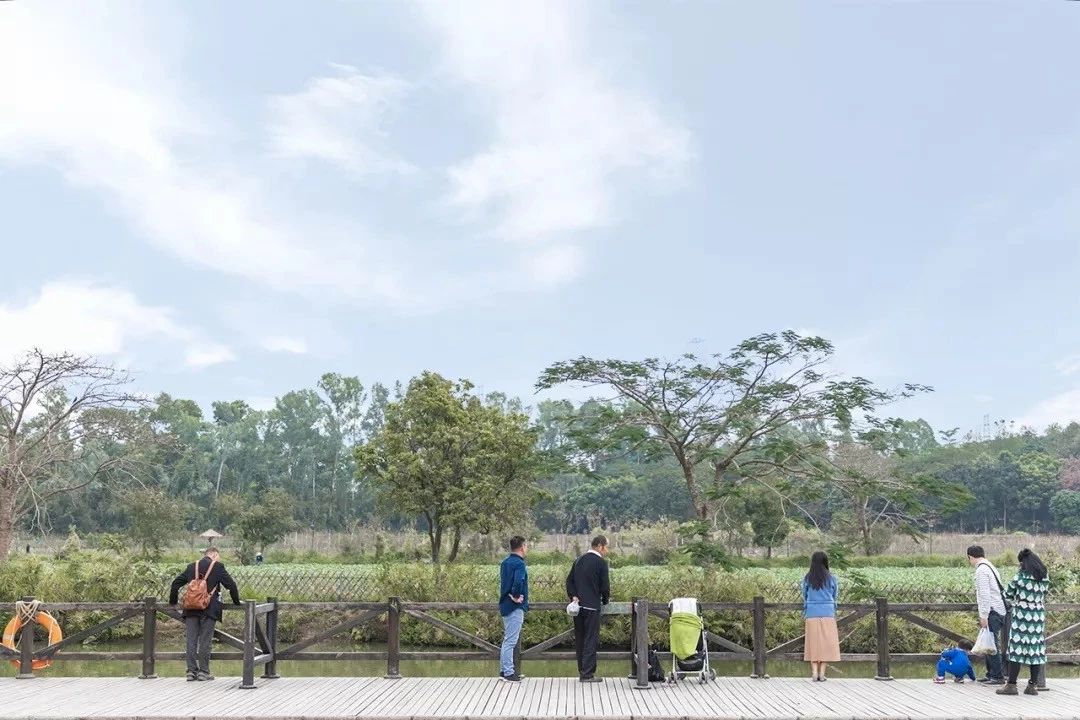 深圳最适合亲子游的好去处,深圳周末家庭游玩好去处