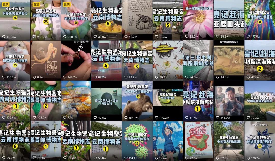 科普博主点赞,一个科普博主的顶流之路