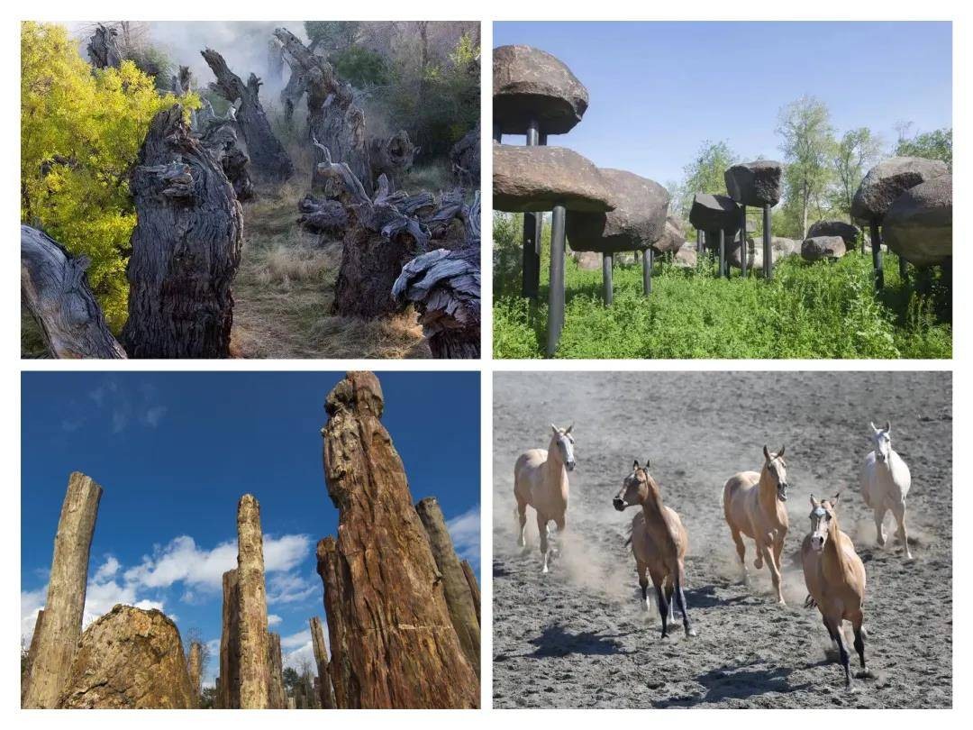 马后踢有多大力量,马踢人的力量多大