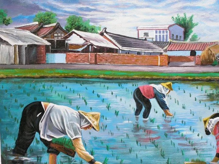 我国曾引领插秧机的发展,如今半数市场被外资占据:忆往昔看今朝