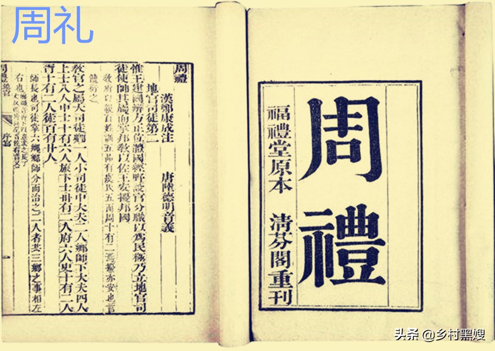 槐树是鬼树为什么还定为国槐,槐树叫鬼树是什么意思