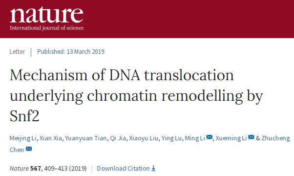 中国冷冻电镜技术进展,冷冻电镜最新研究